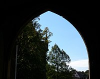 
   Blick zurück durch den Hohlweg   
