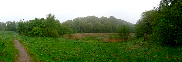 
   Landschafts-Panorama   
