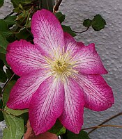 
 &nbsp; Verborgene Sch&ouml;nheit &nbsp; 
