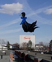 
 &nbsp; Harry und die schwarze Gans &nbsp; 
