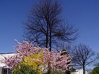 
 &nbsp; Fr&uuml;hlingseinbruch &nbsp; 
