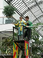 
 &nbsp; Soll ich mich trauen ??? &nbsp; 
