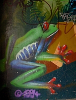 
   "Le Frog" - Graffitty   
