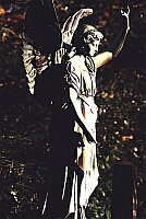 
       angel on a   
   private sepulchre   
