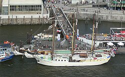 
   M.S. Mare Frisium   

